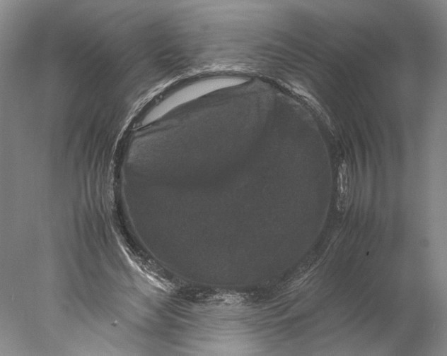 X0000077970492200611171706