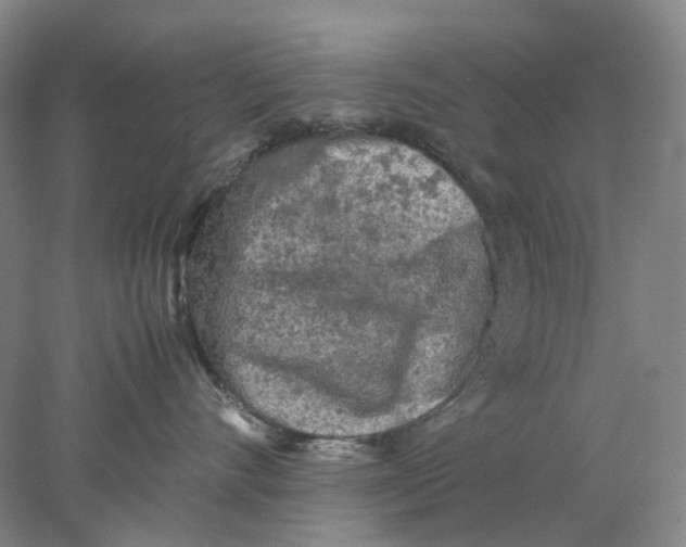 X0000077970528200611171706