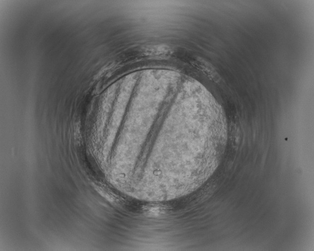 X0000077970564200611171706