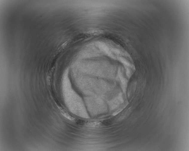 X0000077970576200611171706