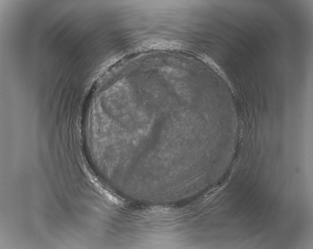 X0000077970581200611171705