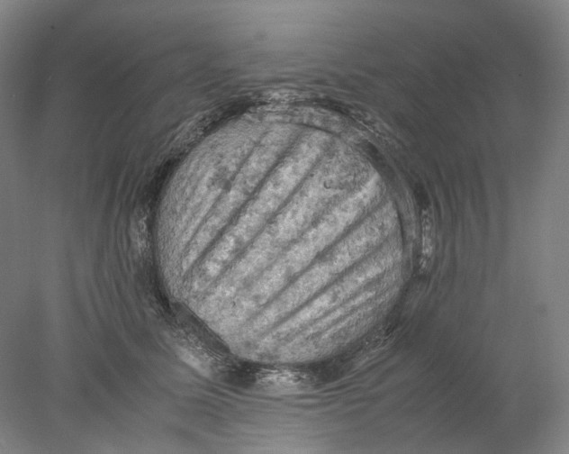 X0000077970611200611171704