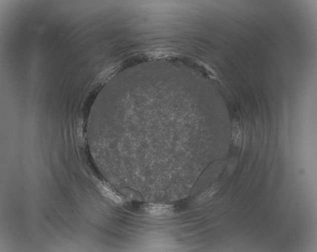 X0000077970670200611171704