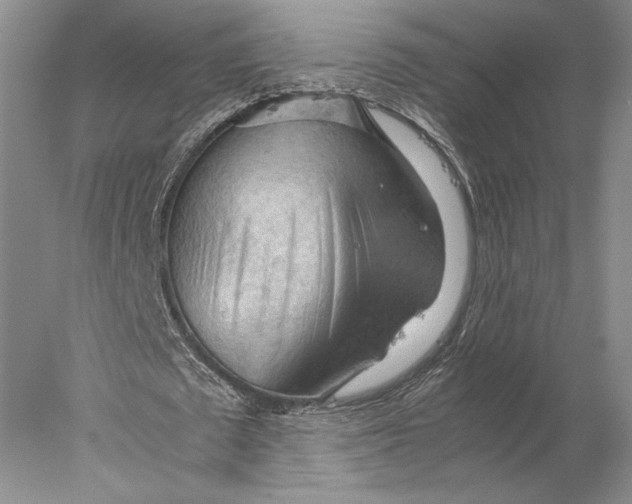 X0000077970673200611171703
