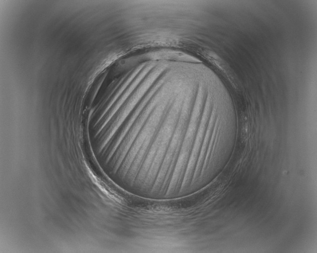 X0000077970677200611171703