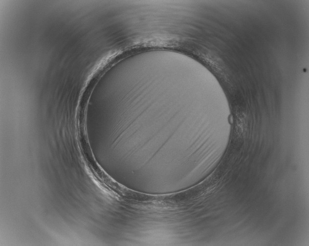 X0000077970678200611171703