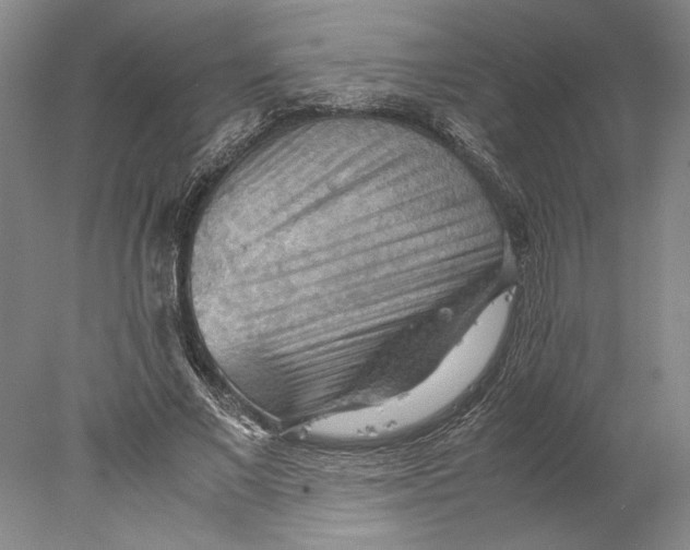 X0000077970685200611171703