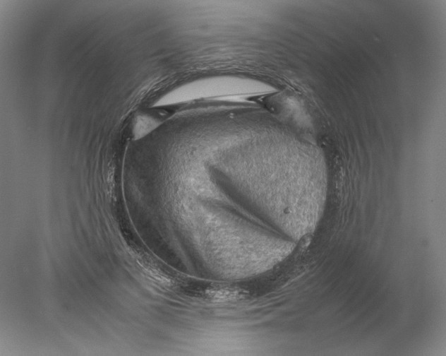 X0000077970693200611171703