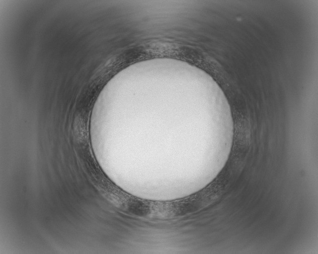X0000077970705200611171703