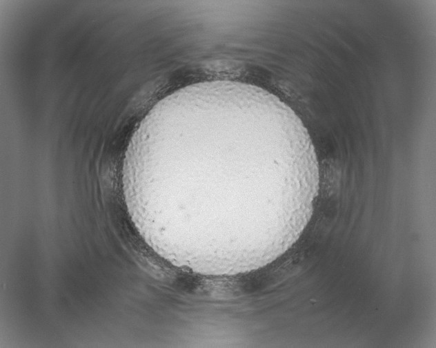 X0000077970713200611171703