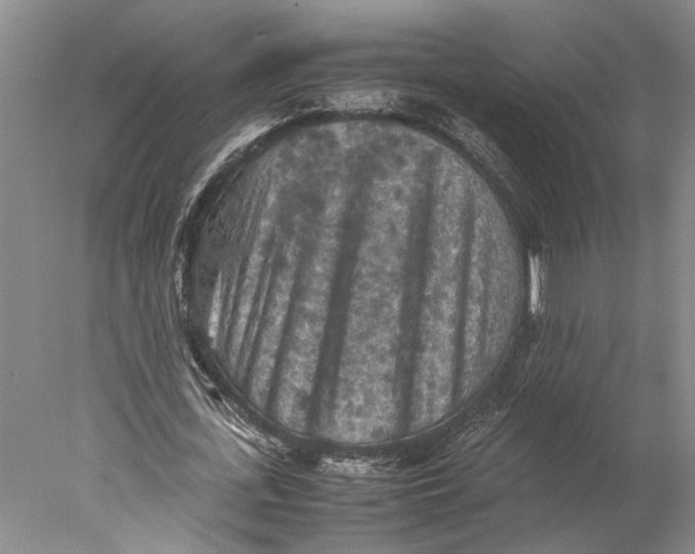 X0000077970723200611171702