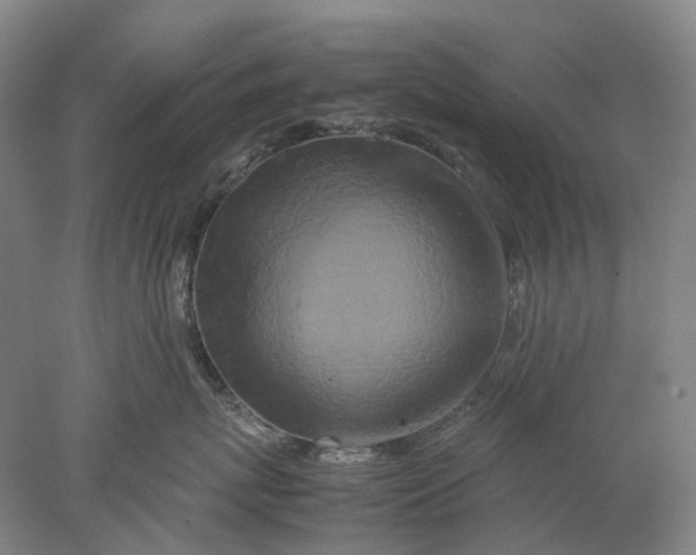 X0000077970767200611171702
