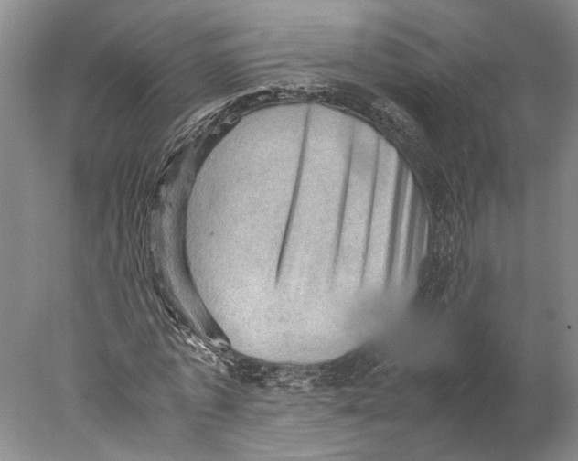 X0000077970773200611171702