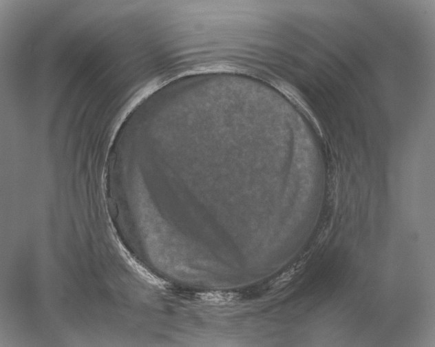 X0000077970805200611171701