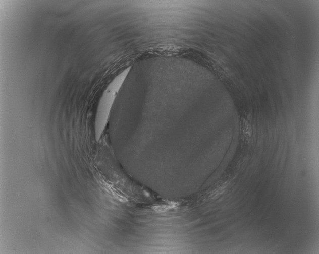 X0000077970818200611171700