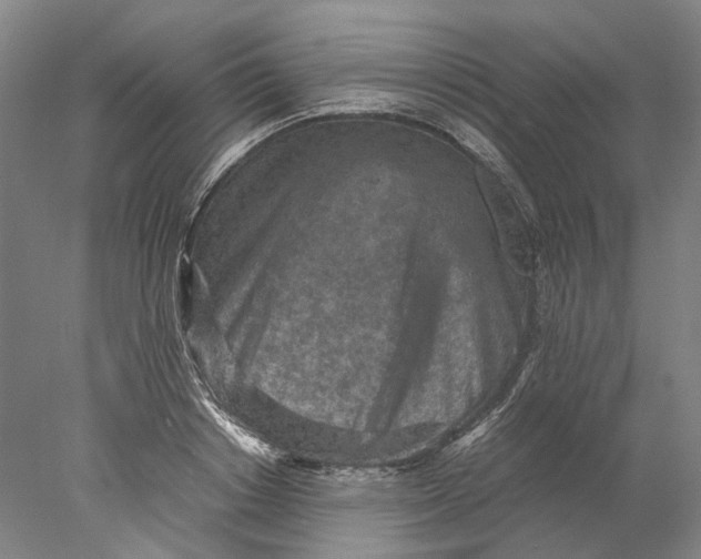 X0000077970842200611171700