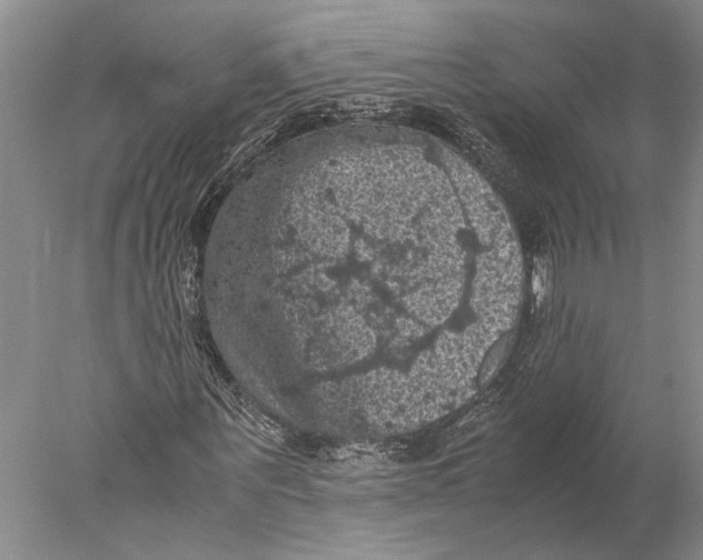 X0000077970867200611171700