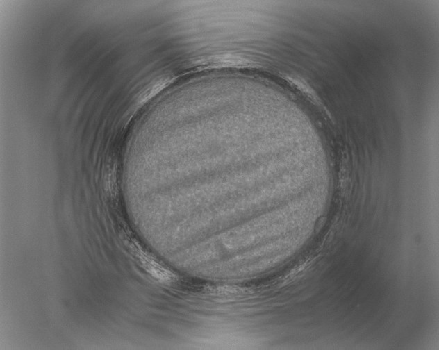 X0000077970873200611171700
