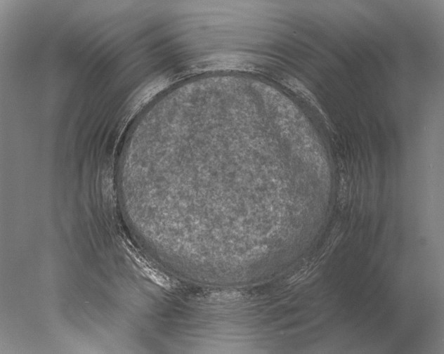X0000077970882200611171700