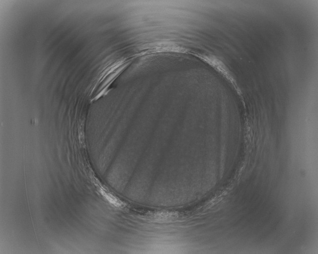 X0000077970889200611171700
