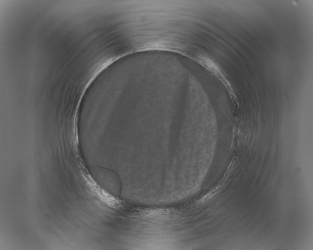 X0000077970892200611171700