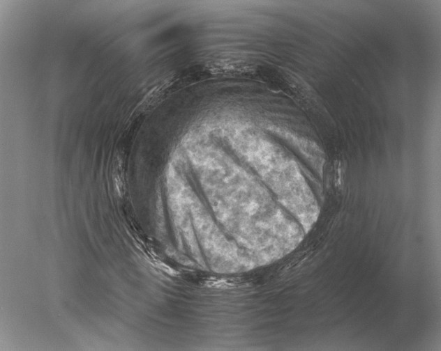 X0000077970915200611171658