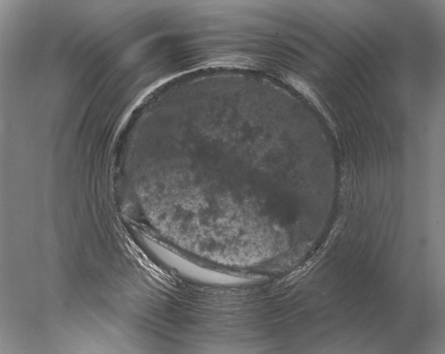 X0000077970923200611171659