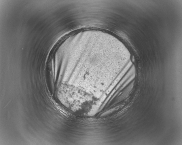 X0000077970924200611171659