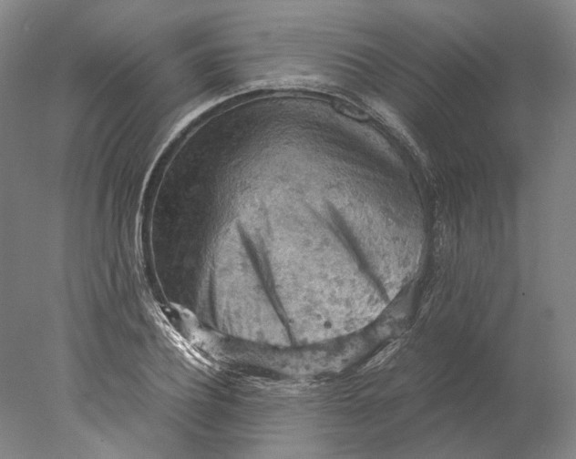 X0000077970932200611171659
