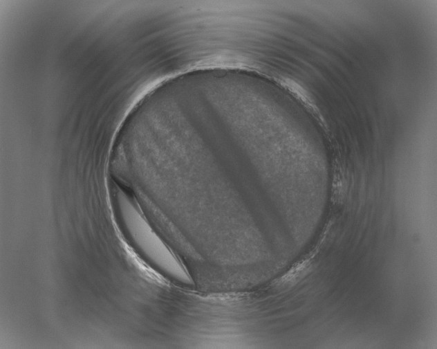 X0000077970942200611171659