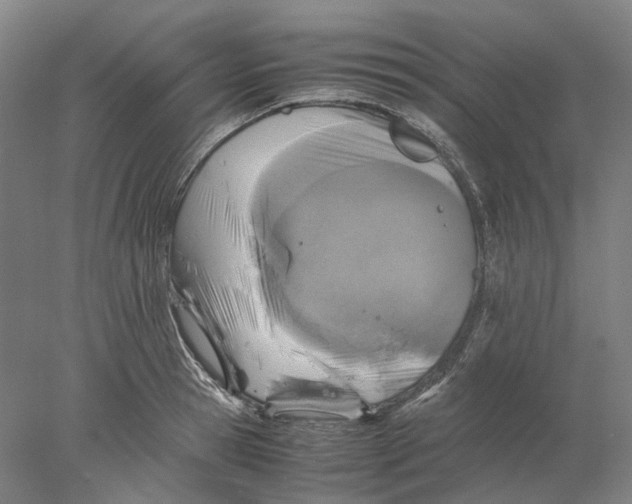 X0000077970945200611171659