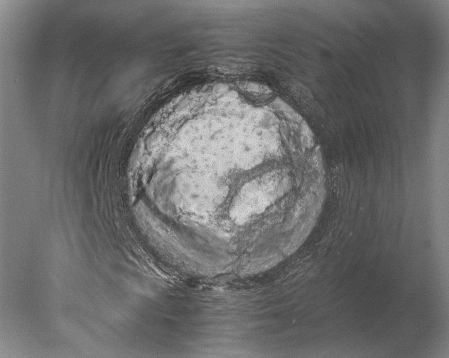 X0000077971009200611171657