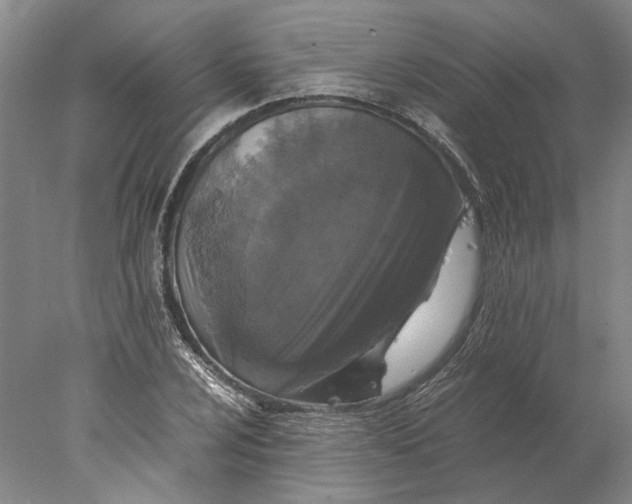 X0000077971024200611171657