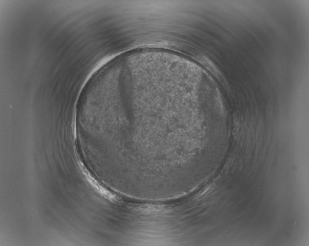 X0000077971036200611171657