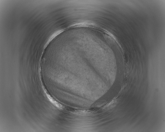 X0000077971042200611171657