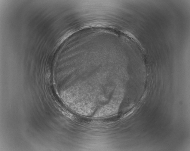 X0000077971065200611171657