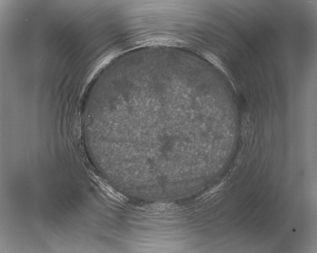X0000077971067200611171657