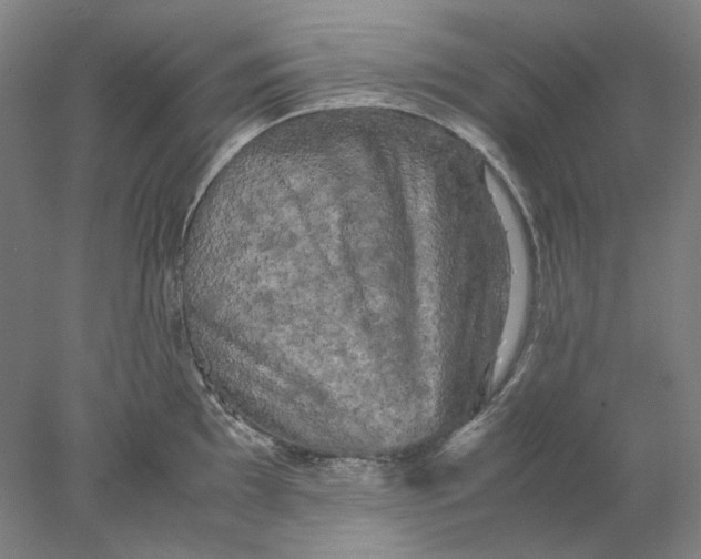X0000077971097200611171656