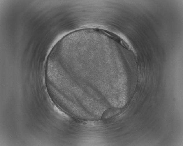 X0000077971102200611171656