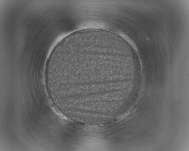 X0000077971104200611171656