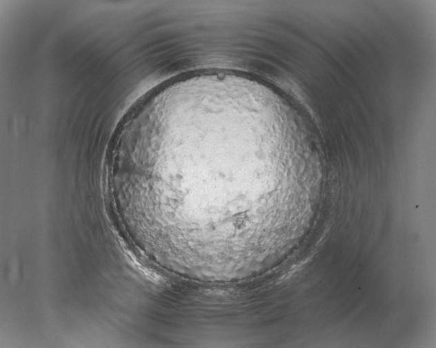 X0000077971125200611171656