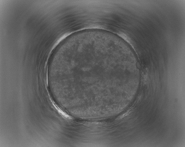 X0000077971127200611171656