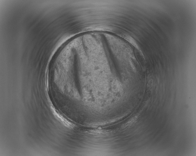 X0000077971132200611171656