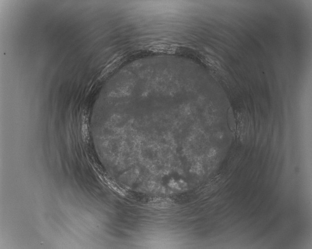 X0000077971154200611171655