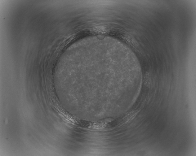 X0000077971201200611171654