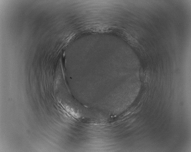 X0000077971202200611171654