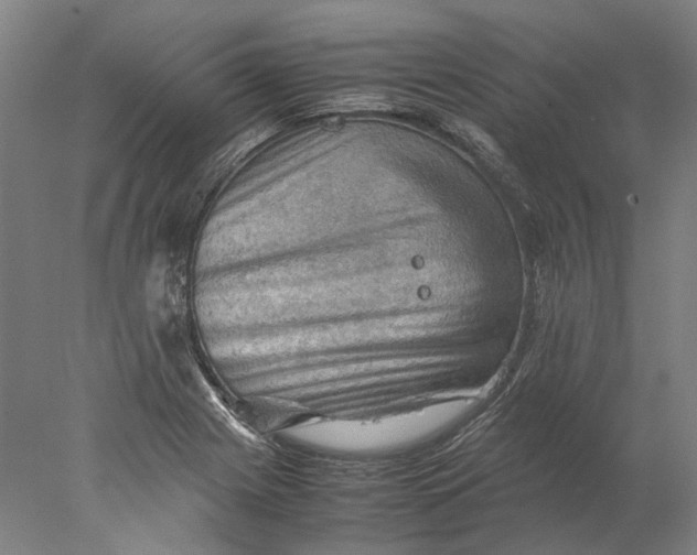 X0000077971225200611171654
