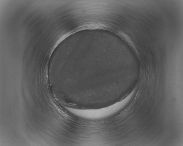X0000077971226200611171654