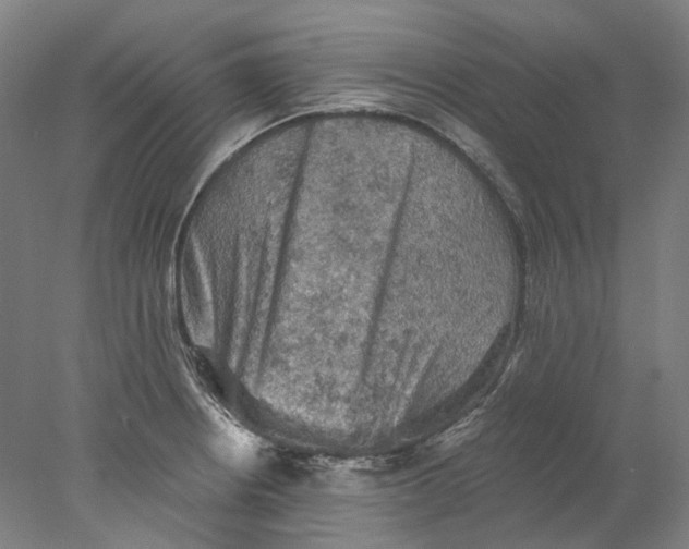 X0000077971234200611171654
