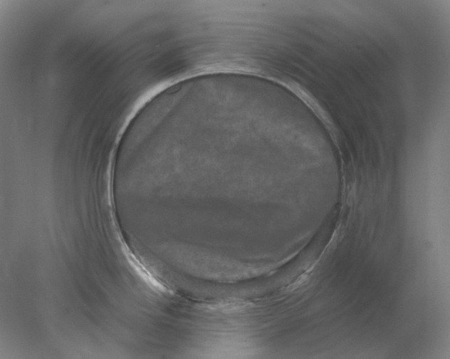 X0000077971246200611171654